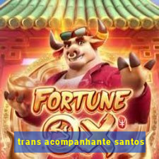 trans acompanhante santos